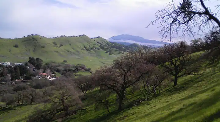 A local view of Walnut Creek, CA