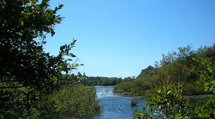 Sans Souci Park near Blue Point, New York