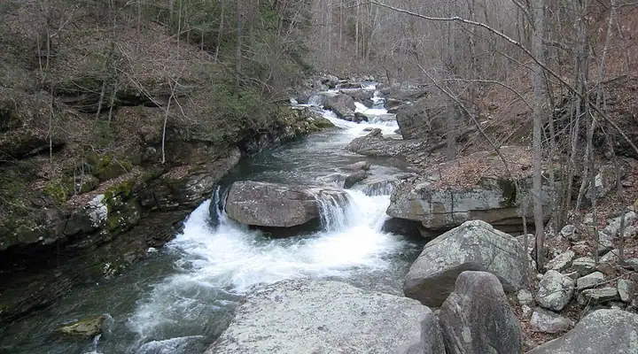 Laurel-Snow State Natural Area near Dayton, Tennessee