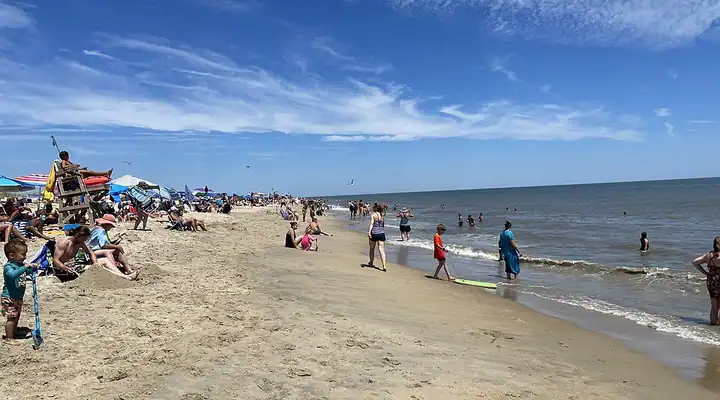 A view of Cape Henlopen State Park in Delaware