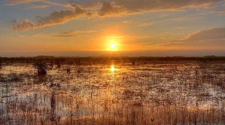 A view of Everglades National Park in Florida